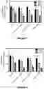 Fig. 05 - AN IMPLANTABLE DEVICE AND A METHOD FOR IMPLANTING SAID DEVICE IN A SUBJECT