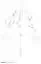 Fig. 12 - Urinary catheter