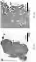 Fig. 46 - SYSTEMS, APPARATUS, AND METHODS FOR ADMINISTERING A SUBSTANCE