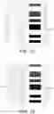Fig. 13 - Sensor device removably attachable to a drug delivery device