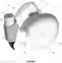 Fig. 02 - INHALATION CHAMBER
