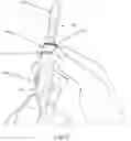 Fig. 07 - Discrete Inhaling Device