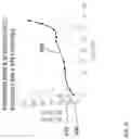 Fig. 12 - CATHETER INFLATABLE CUFF PRESSURE-SENSING DEVICES
