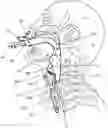 Fig. 01 - AN AIRWAY MANAGEMENT DEVICE AND METHODS OF MANUFACTURING AN OBJECT