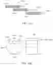 Fig. 12 - Guidewire assembly