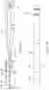 Fig. 34 - Guidewire assembly