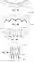 Fig. 12 - EXPANDABLE DRUG DELIVERY PILL