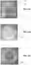 Fig. 10 - ROLL-ON APPLICATORS AND METHODS FOR TREATING DERMAL CONDITIONS