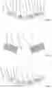 Fig. 03 - System for electrical stimulation of nerves