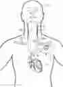 Fig. 01 - IMPLANTABLE NEUROSTIMULATOR-IMPLEMENTED METHOD FOR MANAGING BRADYCARDIA THROUGH VAGUS NERVE STIMULATION