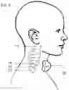 Fig. 07 - Non-invasive nerve stimulation with mobile device
