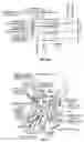Fig. 02 - SYSTEMS AND METHODS FOR CRANIOCERVICAL AND AURICULAR NEUROMODULATION