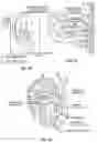 Fig. 08 - SYSTEMS AND METHODS FOR CRANIOCERVICAL AND AURICULAR NEUROMODULATION