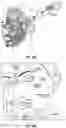 Fig. 21 - SYSTEMS AND METHODS FOR CRANIOCERVICAL AND AURICULAR NEUROMODULATION