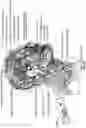 Fig. 24 - SYSTEMS AND METHODS FOR CRANIOCERVICAL AND AURICULAR NEUROMODULATION