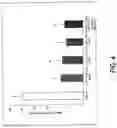 Fig. 05 - TREATING INFLAMMATORY DISORDERS BY STIMULATION OF THE CHOLINERGIC ANTI-INFLAMMATORY PATHWAY
