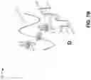 Fig. 09 - Phase-dependent brain neuromodulation of cross-frequency coupling
