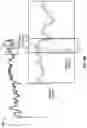 Fig. 15 - Phase-dependent brain neuromodulation of cross-frequency coupling