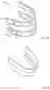Fig. 28 - Methods for treating disorders and for stimulating stem cells by administering light therapy