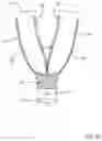 Fig. 36 - Methods for treating disorders and for stimulating stem cells by administering light therapy