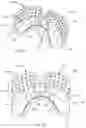 Fig. 90 - Methods for treating disorders and for stimulating stem cells by administering light therapy