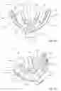 Fig. 91 - Methods for treating disorders and for stimulating stem cells by administering light therapy