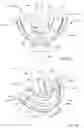 Fig. 95 - Methods for treating disorders and for stimulating stem cells by administering light therapy
