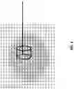 Fig. 10 - Particle arc treatment planning