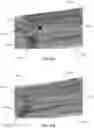 Fig. 47 - Exercise machine arm with single-handed adjustment
