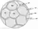 Fig. 01 - BALL WITH INTERIOR REINFORCEMENT PATCHES