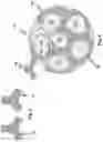 Fig. 04 - BALL WITH INTERIOR REINFORCEMENT PATCHES