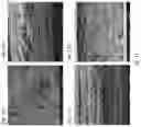 Fig. 12 - Paper capillary lateral flow fluid filter for bacterial and nanometer sized particle contamination