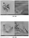 Fig. 13 - Organic solvent method for preparing membrane protein based nanosheets and membranes based on nanosheets