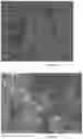 Fig. 09 - Capsules