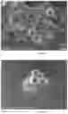 Fig. 12 - Capsules