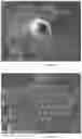 Fig. 14 - Capsules