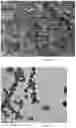 Fig. 15 - Capsules