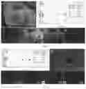 Fig. 04 - Starch-based adsorbent with nanopores and preparation method thereof