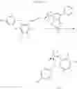 Fig. 16 - Ruthenium-based metathesis catalysts, precursors for their preparation and their use