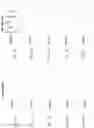 Fig. 10 - Device including a hydrophilic, non-ionic coating for size exclusion chromatography