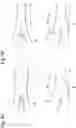 Fig. 10 - MICROCHIP AND PARTICULATE ANALYZING DEVICE