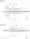 Fig. 12 - MICROCHIP AND PARTICULATE ANALYZING DEVICE