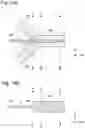 Fig. 20 - MICROCHIP AND PARTICULATE ANALYZING DEVICE