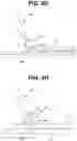 Fig. 09 - Liquid evaluation