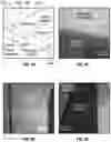 Fig. 08 - PERFUSABLE HYDROGEL MICROCHANNEL SHELL AND METHODS THEREOF