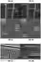 Fig. 11 - PERFUSABLE HYDROGEL MICROCHANNEL SHELL AND METHODS THEREOF