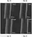 Fig. 13 - PERFUSABLE HYDROGEL MICROCHANNEL SHELL AND METHODS THEREOF