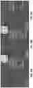 Fig. 16 - PERFUSABLE HYDROGEL MICROCHANNEL SHELL AND METHODS THEREOF