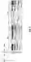Fig. 11 - Isolation of Different Extracellular Vesicle (EV) Subpopulations