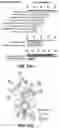 Fig. 20 - Isolation of Different Extracellular Vesicle (EV) Subpopulations